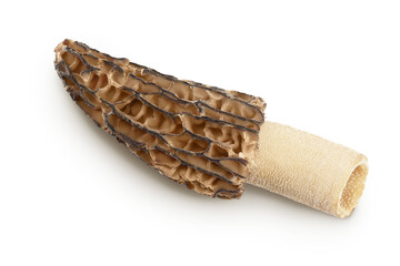 Wall Mural - raw morel mushroom isolated on white background with full depth of field. Top view. Flat lay.