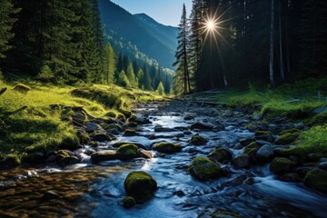 Wall Mural - a beautiful mountain forest with a small stream winding through it, stunning scenic world landscape 