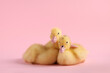 Baby animals. Cute fluffy ducklings sitting on pink background