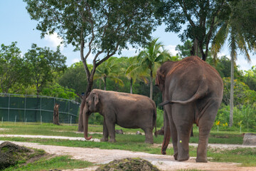 Amazing pictures of animals at the Zoo!