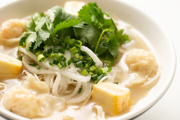 Wall Mural - Rice noodles with dumplings