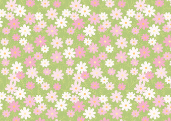  カラフルなコスモスの背景素材