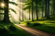 © CREAM 2.0 - morning in the forest