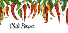 Hand Drawn Chili Peppers Seamless Border In Sketch Style, Vector Illustration On White Background.