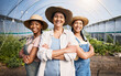 © Wesley/peopleimages.com - Farming, portrait of group of women in greenhouse and sustainable small business in agriculture. Happy farmer team at vegetable farm, agro career growth and diversity with eco friendly organic plants