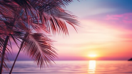 Wall Mural - Close up of palm leaves with sunset sea in soft tones. Beautiful nature background.