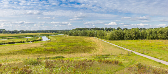 Wall Mural - Panorama of a bicyle path going to the Vecht river near Hardenberg, Netherlands