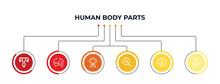 Human Uterus, Broken Bone, Human Neck, Two Spermatozoon, Brain Inside Human Head, Men Leg Outline Icons. Editable Vector From Body Parts Concept. Infographic Template.