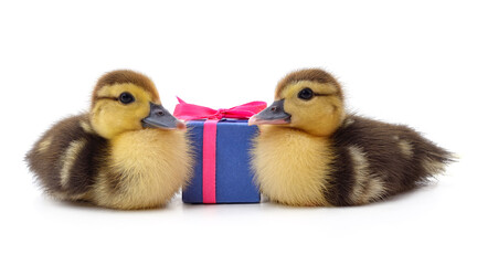 Poster - Ducklings and a gift.