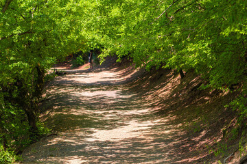 Wall Mural - Narrow path of the tourist route on slope of mountain