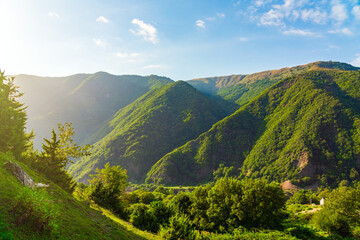 Gorge between mountains covered with dense green forest