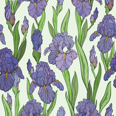 Wall Mural - Seamless pattern with iris flowers