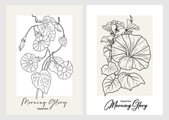 Wall Mural - Set of Morning Glory, September birth month flower line art vector wall art. Trendy black and white posters for Scandinavian, japandi interior design. Minimalist monochrome illustrations isolated.