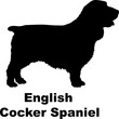English Cocker Spaniel. dog silhouette dog breeds Animals Pet breeds silhouette