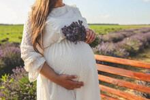 Pregnant Woman In Lavender Field