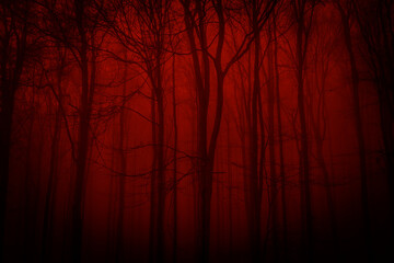 Poster - Silhouettes of trees on a red background. Horror or ecological concept. Red light and silhouette of trees.