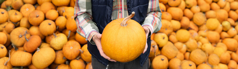 Poster - Bearded farmer with pumpkin on a background of a pile of pumpkins