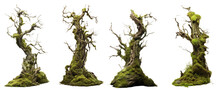 Fresh Green Moss On Rotten Tree Isolated On Transparent Background