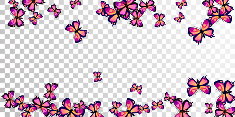 Sticker - Exotic purple butterflies cartoon vector illustration. Summer little moths. Detailed butterflies cartoon children wallpaper. Tender wings insects patten. Garden beings.