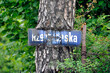 Drzewo z wrośniętą tablicą z nazwą ulicy