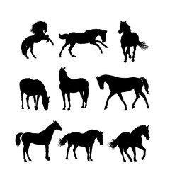 Wall Mural -  Set of horse silhouettes, running horse - vector illustration