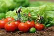 © YouraPechkin - Little people make food, pick fruits and vegetables