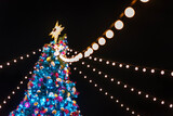 Fototapeta Mosty linowy / wiszący - Night scenery of illuminated LED Christmas tree in park