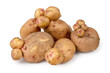 A lot of non-standard ugly potato tubers. Potato overgrowth. Potato tubers on a white background.