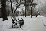 Fototapeta Most - park bench on a winter alley at snowfall. bench with snow after snowstorm or in snow calamity in europe