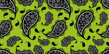 Fototapeta Młodzieżowe - paisley  abstract vector seamless pattern.