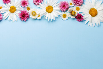 Wall Mural - Garden blossom flower heads on blue background