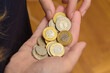 Płacić polskimi pieniędzmi w sklepie,  polskie monety pln