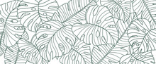 Tropical Leaf Line Art Wallpaper Background Vector. Natural Monstera Leaves Pattern Design In Minimalist Linear Contour Simple Style. Design For Fabric, Print, Cover, Banner, Decoration.