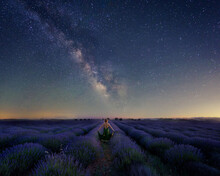 Woman At Dusk In A Lavender Field Witch Sky With Milky Way