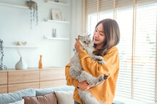 Happy Young Asian Woman Hugging Cute Grey Persian Cat On Couch In Living Room At Home, Adorable Domestic Pet Concept.