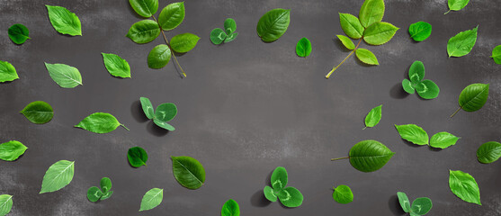 Wall Mural - Green leaf frame design background - flat lay