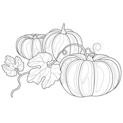 Wall Mural - Pumpkins.Coloring book. Illustration isolated on white background.