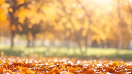 Wall Mural - Golden Autumn Leaves in Sunlit Park: Beautiful Bokeh Photography. 