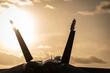 Silhouette of a modern military jet fighter against a golden evening sky