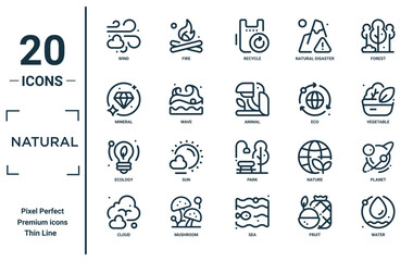natural linear icon set. includes thin line wind, mineral, ecology, cloud, water, animal, planet icons for report, presentation, diagram, web design