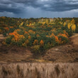Beautiful panorama of the autumn forest on the mountain hills.