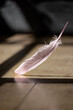 A soft pink feather falling gently onto a wooden nightingale floor