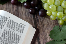 Jesus Christ Is The True Vine Verse In Open Holy Bible With Fresh Grapes And Branches On Wooden Table. Abide In God, Christian Fruit Bearing, Obedience, Relationship, And Union With The LORD. Close-up