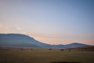 Wall Mural - sunrise over the mountains