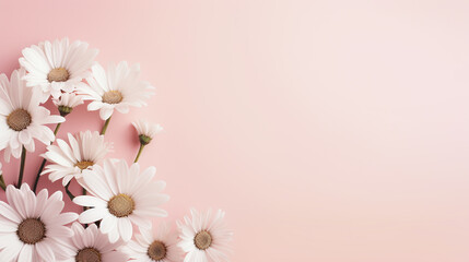 Sticker - Spring Daisy frame white flowers against soft pink pastel background. Minimal styled concept