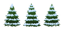 Christmas Trees. Cartoon Xmas Green Fir Trees Covered With Snow Flat Vector Illustration. Winter Holiday Elements Collection