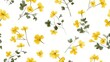Seamless pattern of mustard flowers on white background. Beautiful yellow spring flowers. Generative AI