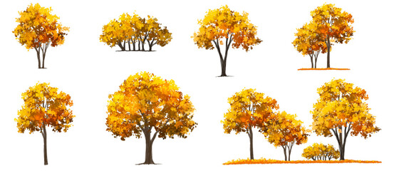 Wall Mural - Vector set of autumn trees, Vector of green grass or shrub isolated on white background,tree elevation for landscape concept,environment panorama scene,eco design,watercolor meadow
