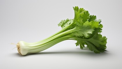 Celery isolated on white