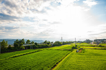 Canvas Print - 夕方の東御市の上信越自動車道と田園風景